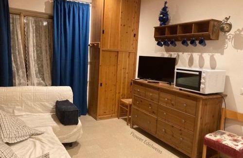 Aremogna Apartment | Flower Edelweiss - Residence Paradiso
