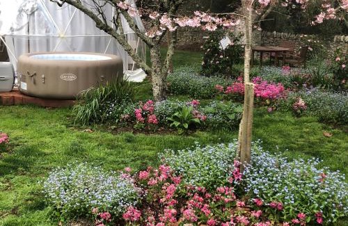 Tamahere Other | Flowerhaven - glamping dome