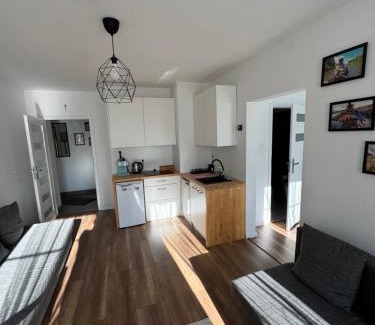 Lesna Apartment | Fly Adventures- dom wędkarza