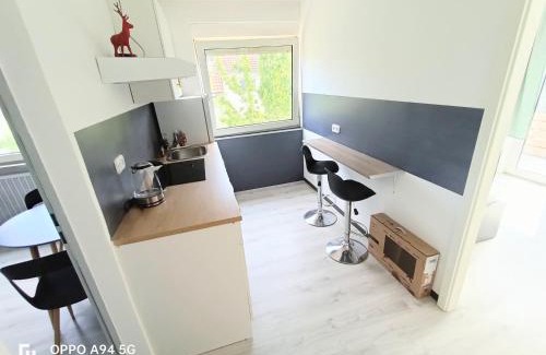 Hochheim am Main Apartment | FMi21