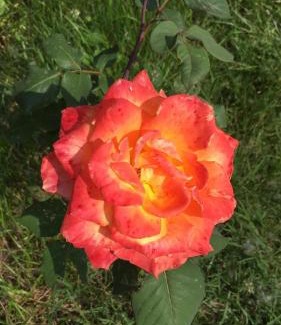 San Cesario sul Panaro House | Fondo Giardinetto