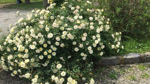 San Cesario sul Panaro House | Fondo Giardinetto