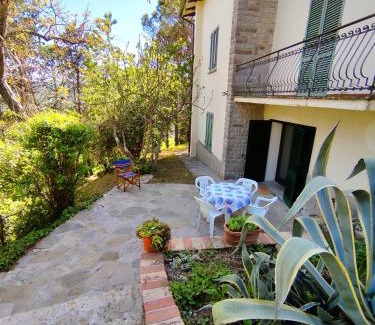 Santa Reparata Cabin | Fonte Degna - Alloggio e Sito Storico
