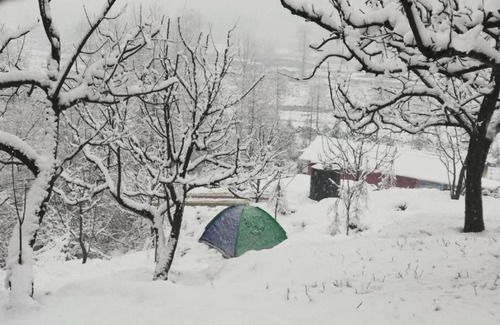 Manali Bed & Breakfast | Food&travel cafe n Homes