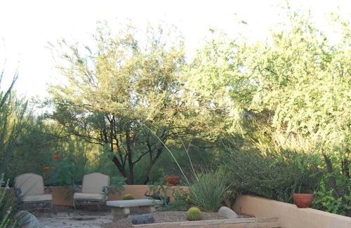 Haciendas Catalina Del Rey Apartment | Foothills Studio Suite, Convenient, recently Remodeled