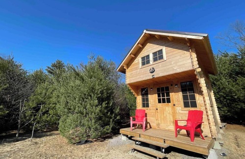 Langton Apartment | Forest Bunkie Trails & Stargazing