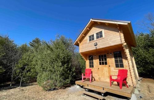 Langton House | Forest Bunkie Trails & Stargazing