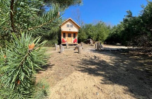 Langton House | Forest Bunkie Trails & Stargazing