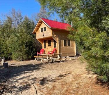 Langton House | Forest Bunkie Trails & Stargazing