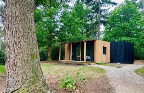 Municipality of Rijssen-Holten Cabin | Forest Cabin in the woods