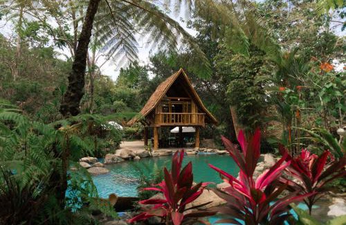 Valencia Resort | Forest Camp