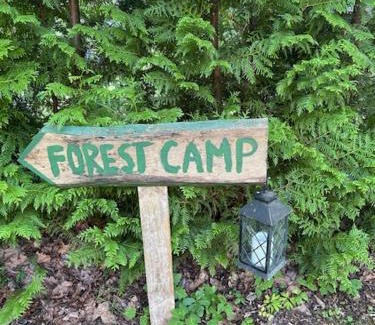 Saaremaa Other | Forest Camping
