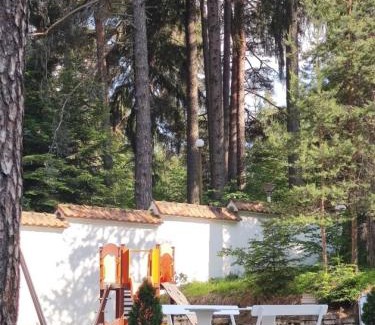 Samokov Apartment | Forest Chamkoria Apartment