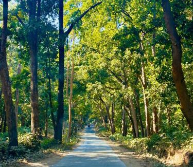 Gopalganj Hotel | Forest Creek Resort Kiari - A Luxury 4 star Resort