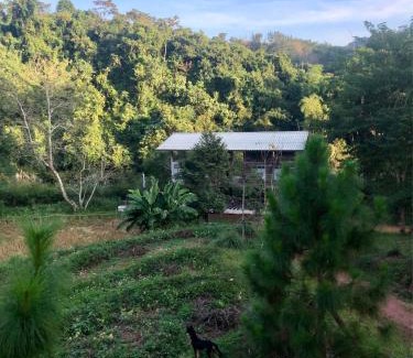 Pua House | Forest Forest Barn