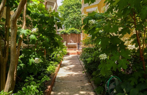 Northwest Apartment | Forest Hills Haven, An Oasis Between Rock Creek Park And Bustling Downtown DC