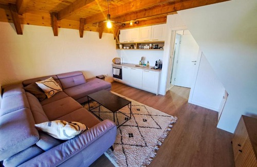 Zenica-Doboj Canton House | Forest House Bukva