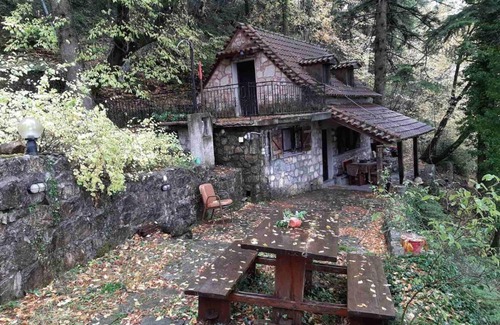 Amfikleia-Elateia Apartment | Forest House