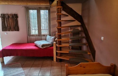 Zabala House | Forest House