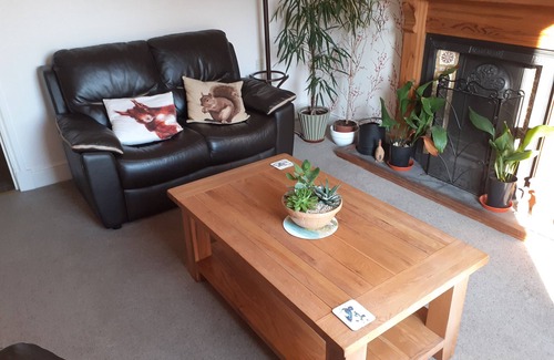 Holmrook House | Forest How