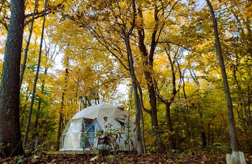 West Elgin RV Rental | Forest nestled GeoDome with Beautiful views of Lake Erie! n