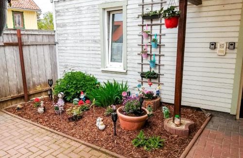 Elbingerode Apartment | Forest Stay in Elbingerode, cleaning included