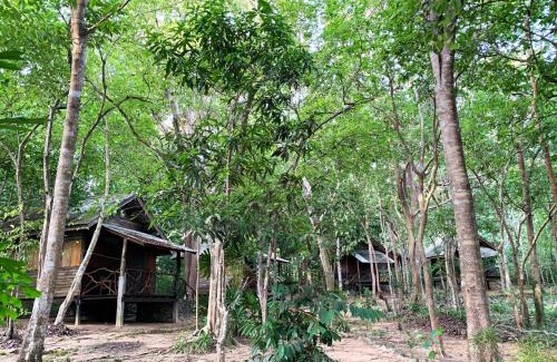 Nuea Khlong House | Foresta Cottage of Koh Pu no6197