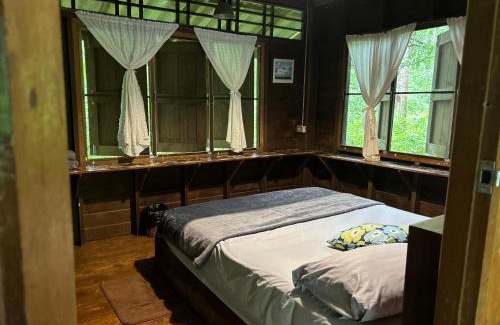 Ko Kood House | forestel homestay kohkood ฟอเรสเทล โฮมสเตย์ เกาะกูด