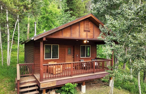 Victor Cabin | Forget Me Not Cabin in the Woods. Wood Stove, Wifi, W/D. Pet Friendly!