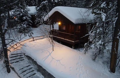 Victor Cabin | Forget Me Not Cabin in the Woods. Wood Stove, Wifi, W/D. Pet Friendly!