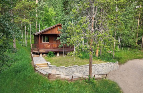 Victor Cabin | Forget Me Not Cabin in the Woods. Wood Stove, Wifi, W/D. Pet Friendly!