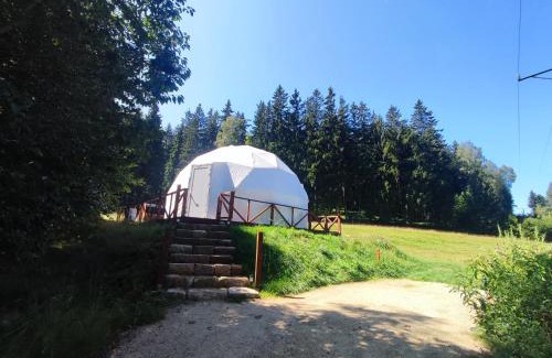 Mieroszow Other | Forrest Glamp