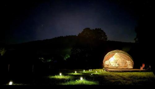 Mieroszow Other | Forrest Glamp
