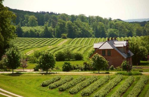 Teterow Apartment | Forsthof Niendorf