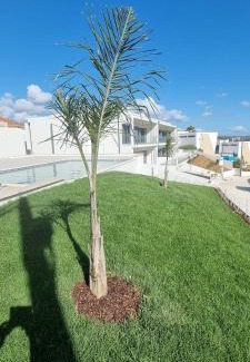Foz do Arelho Apartment | Fou de Foz