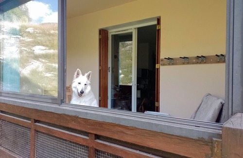 Allos Apartment | Foux d'Allos Cocooning rental