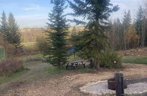 Division No. 11 Ski Chalet | Foxy Den Chalet Cabin - 1 roomnNestled in the valley Pet friendly! Off grid camp