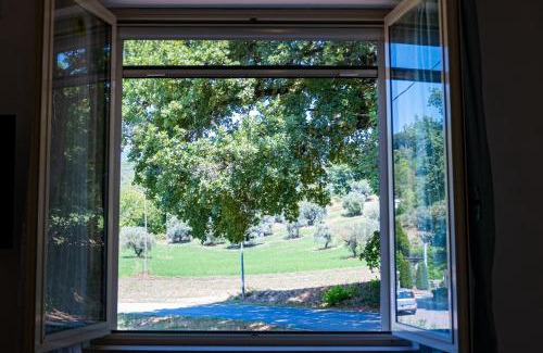 Miano Bed & Breakfast | Frami b&b