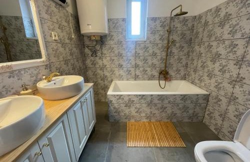 Balatonfoldvar Apartment | Francia Ház