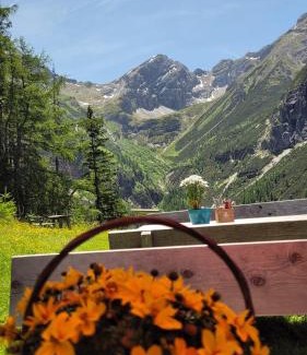 Matrei am Brenner Apartment | Franzis Appartments Sissi
