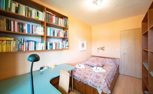 Obuda Apartment | Free parking Amphitheater Apartment - Wifi, AC, TV