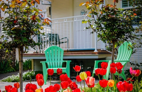 Calistoga Cottage | Free wifi & free parking. Charming In-Town Cottage In California Wine Country