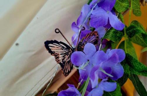 Newark Other | French Tent secret garden glamping