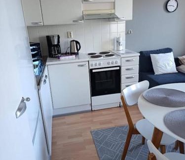 Etelainen District Apartment | Fresh apartment with private sauna in the center of Helsinki, Free park
