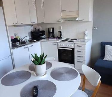 Etelainen District Apartment | Fresh apartment with private sauna in the center of Helsinki, Free park