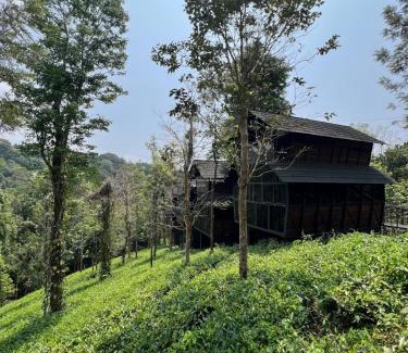 Vayittiri Hotel | Fresh Wave Resort And Pool Villa Soochipara