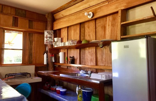 Hopkins Cabin | Freshwater Creek Cabin, nature and bird watching right from your porch.