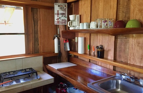 Hopkins Cabin | Freshwater Creek Cabin, nature and bird watching right from your porch.