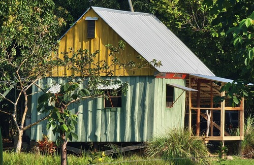 Hopkins Cabin | Freshwater Creek Cabin, nature and bird watching right from your porch.