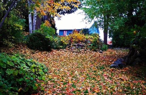 Terrebonne House | Friends and family getaway! Riverside and historic district
